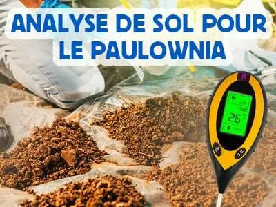 Paramètres d'analyse du sol avant la plantation Paulownia