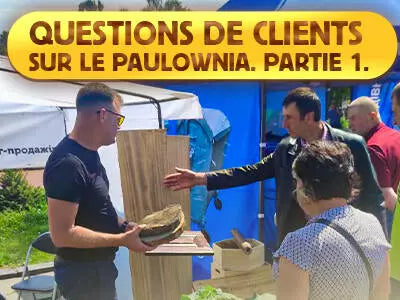 Questions de clients sur le paulownia. Partie 1