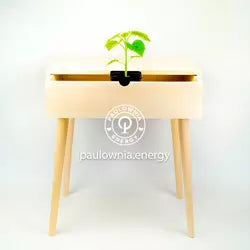 Table de chevet de Paulownia-01