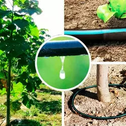 Conception de systèmes d'irrigation goutte à goutte Paulownia