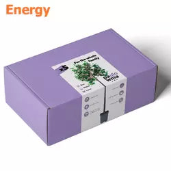 Paulownia Box Energy. Coffret pour la culture du paulownia